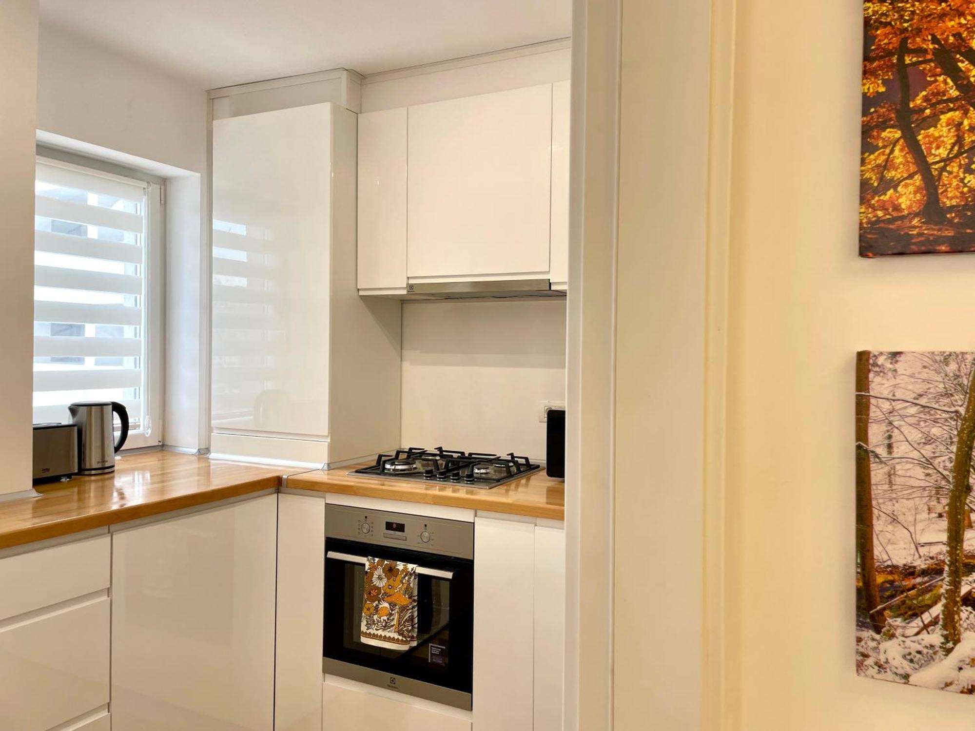 Carpatilor Urban Escape With Free Parking And Ac Apartament *